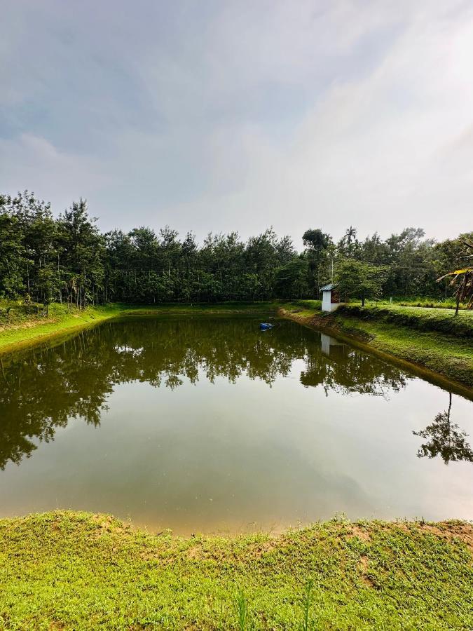 Green Castle Gonikoppal Exterior photo